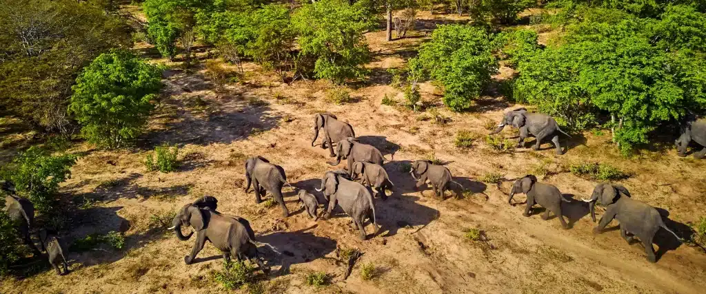 Best Time to Visit Zimbabwe - September - Cheetah Safaris