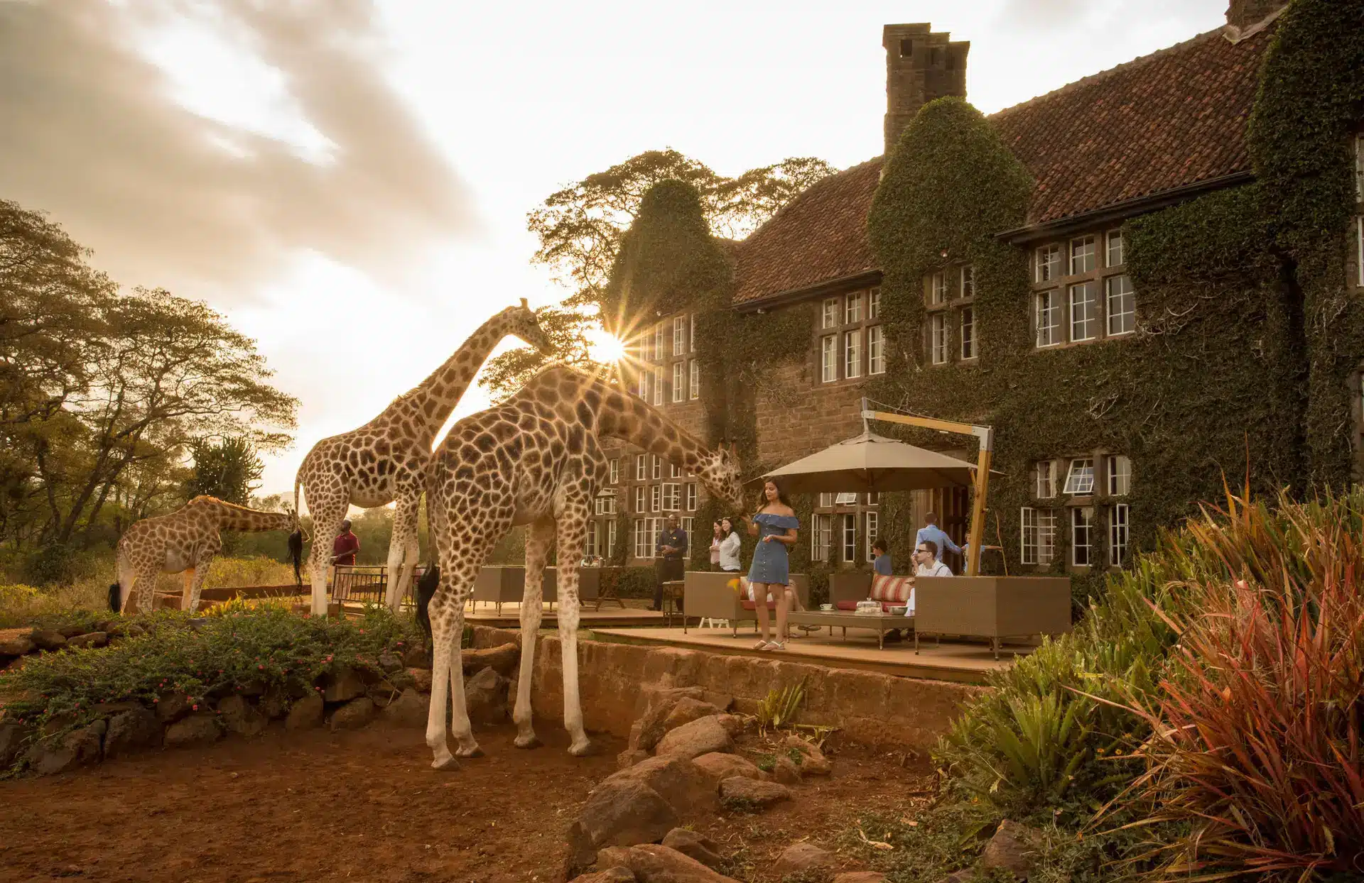 Kenya Safaris in December Best Time to Visit Kenya Cheetah Safaris 1