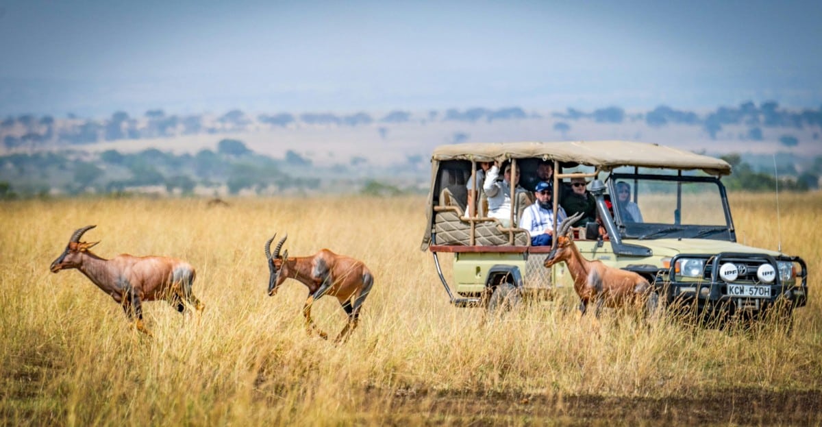 Kenya and Tanzania Safaris - Luxury African Safaris - Cheetah Safaris