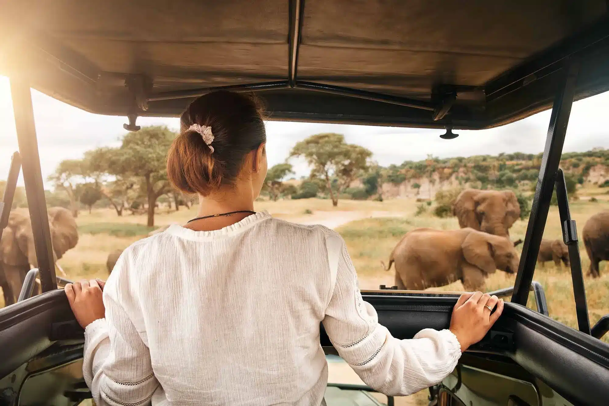 African Safari For Solo Travelers: Complete Travel Guide 1 African Safari for Solo Travelers