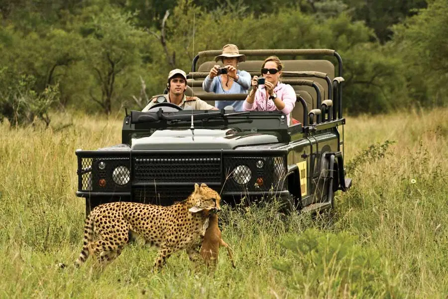 Best Time to Visit South Africa - December Safaris - Cheetah Safaris