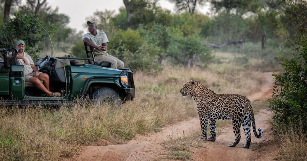 Best Time to Visit South Africa June Safaris Cheetah Safaris 1