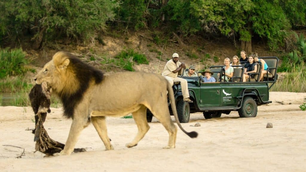 Best Time to Visit South Africa - May Safaris - Cheetah Safaris