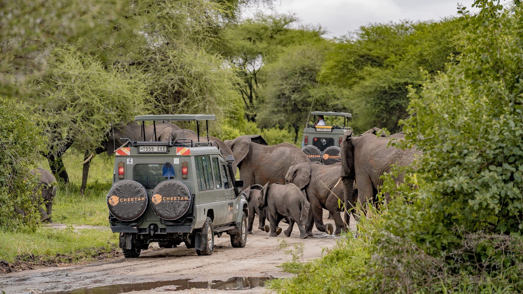 How much does a Safari in Tanzania cost