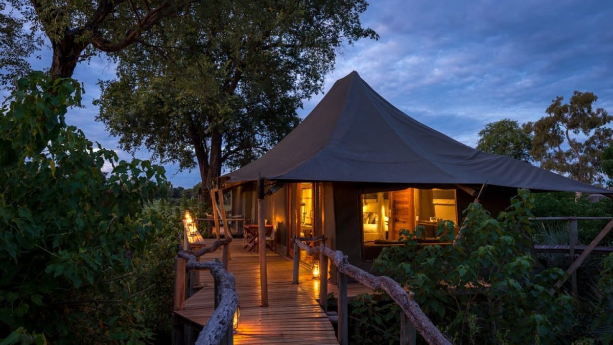 Mombo & Little Mombo Camp, Botswana