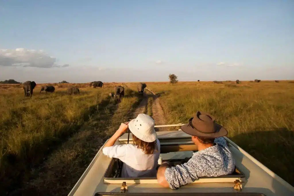 Best Safari Honeymoon Destinations