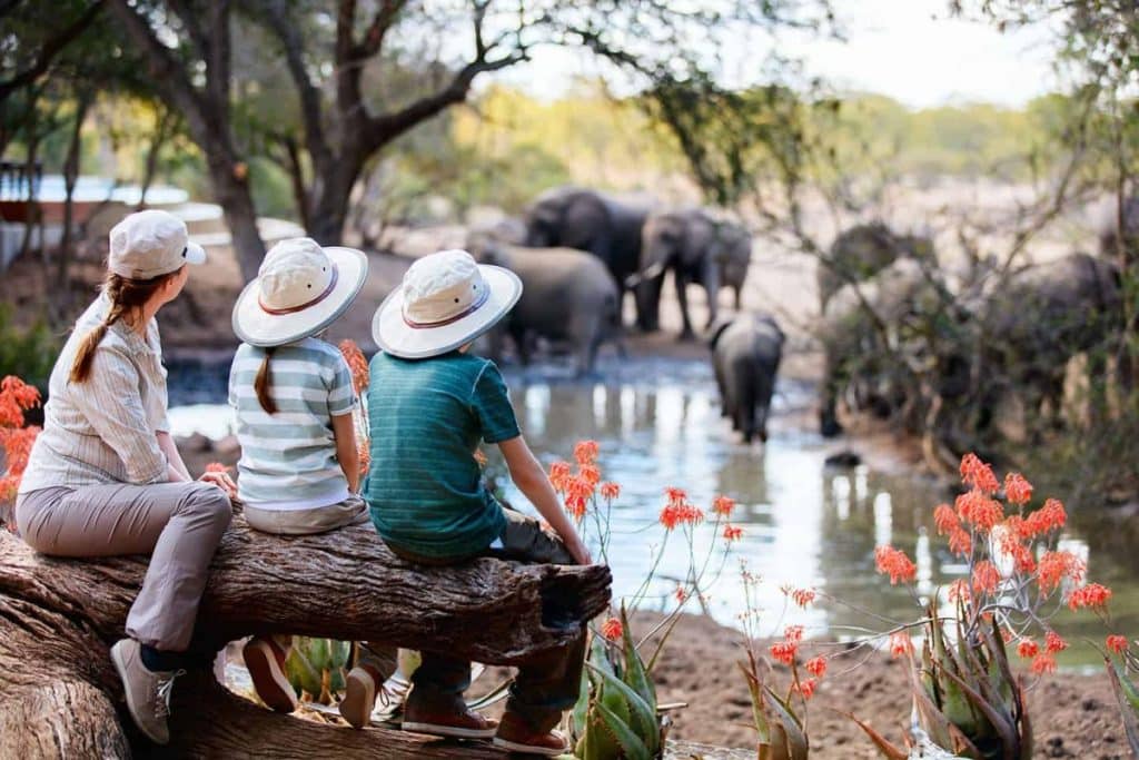 family safari 1