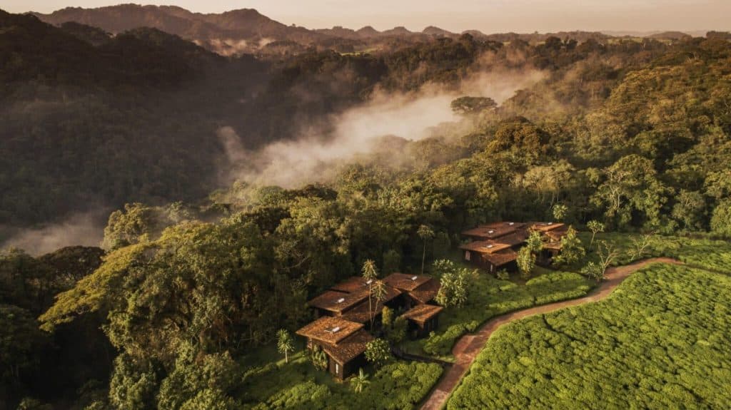 Nyungwe Lodge