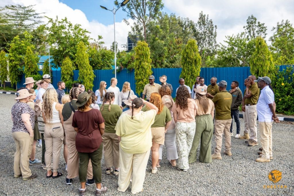 Private Safari vs Group Safari