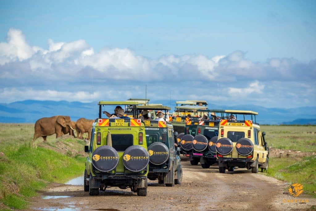 Private Safari vs Group Safari