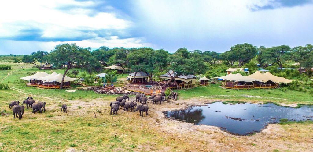 Somalisa Camp Elephants Zimbabwe
