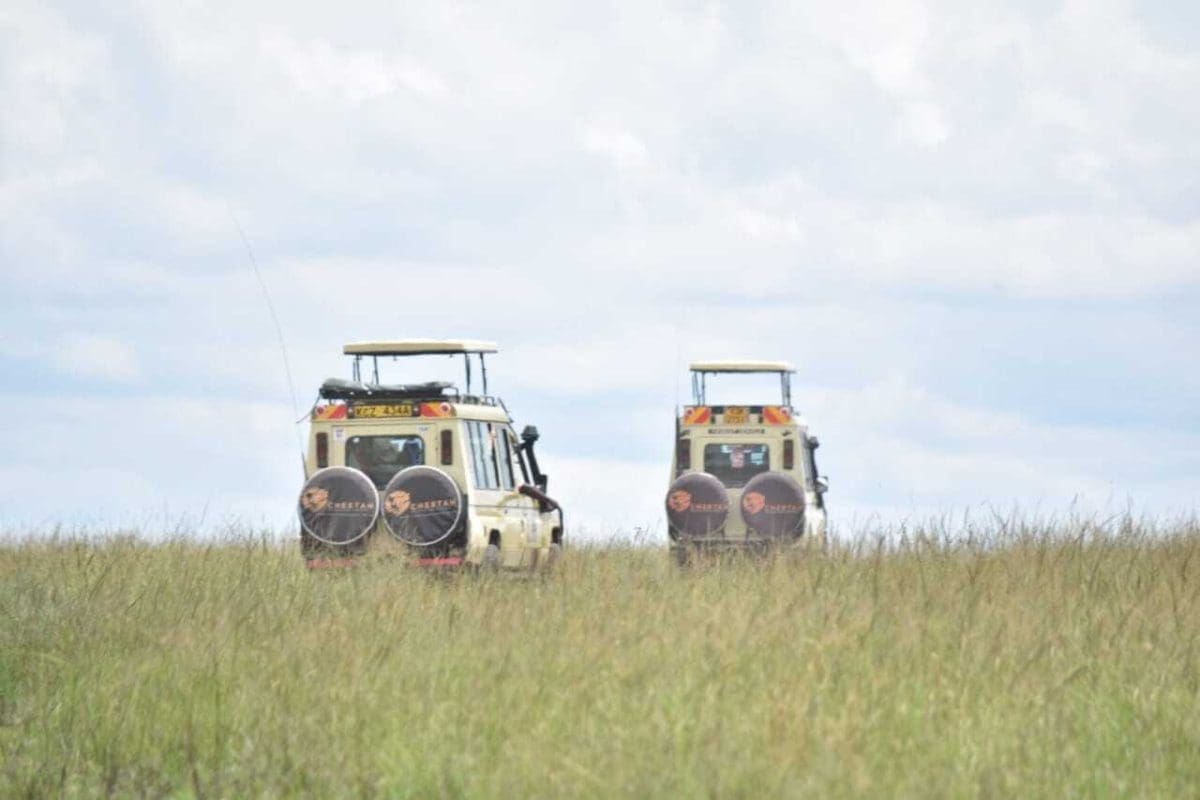 Kenya Safaris - Wildlife Safaris in Kenya - Kenya Wildlife Tours - Kenya Safari Holidays - Kenya Safaris from Nairobi - Cheetah Safaris