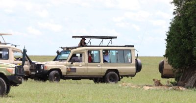 Kenya Safaris - Wildlife Safaris in Kenya - Kenya Wildlife Tours - Kenya Safari Holidays - Cheetah Safaris