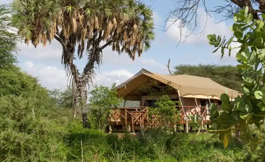 Elephant Bedroom Camp