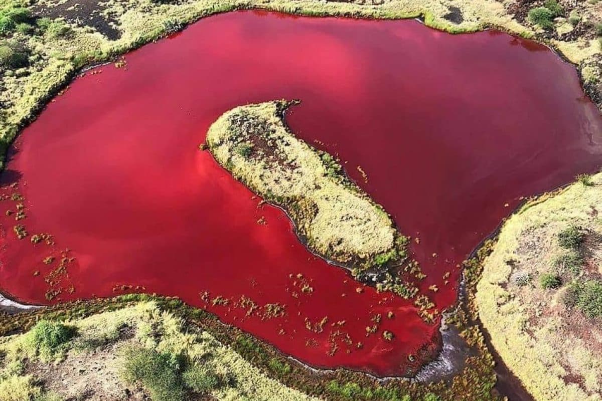 Lake Logipi - Helicopter Safaris in Kenya - Scenic Tours in Kenya