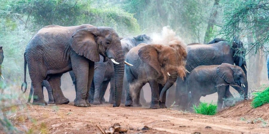 Rimoi National Reserve