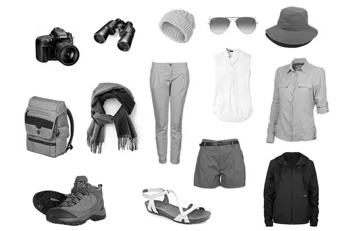 African Safari Packing Guide - Photography - Cheetah Safaris