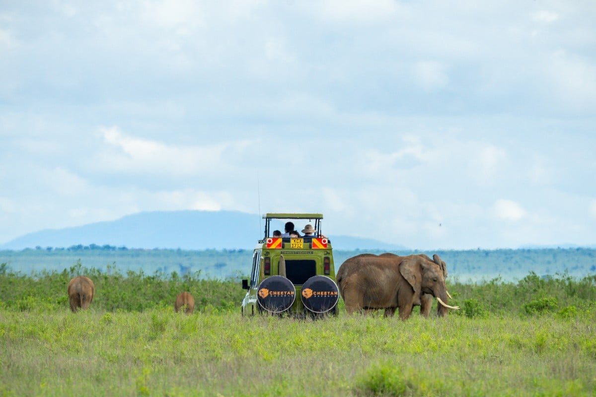 Cheetah Safaris - Amboseli