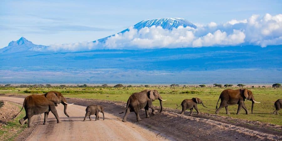 Amboseli National Park - Cheetah Safaris