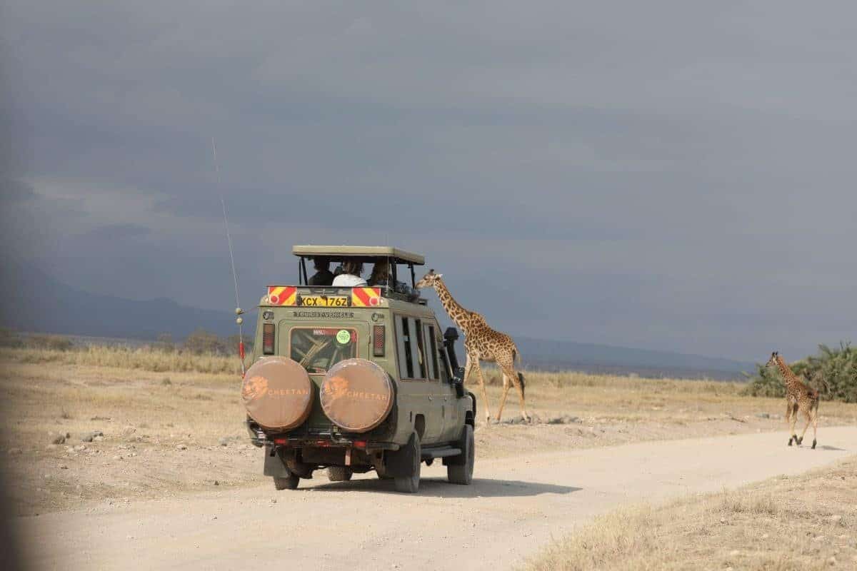 Amboseli Safaris - Cheetah Safaris