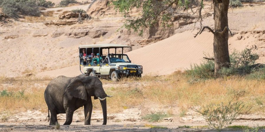 Best Time to Visit Namibia - September - Cheetah Safaris