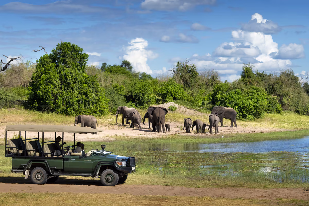 Botswana National Parks - Chobe - Cheetah Safaris
