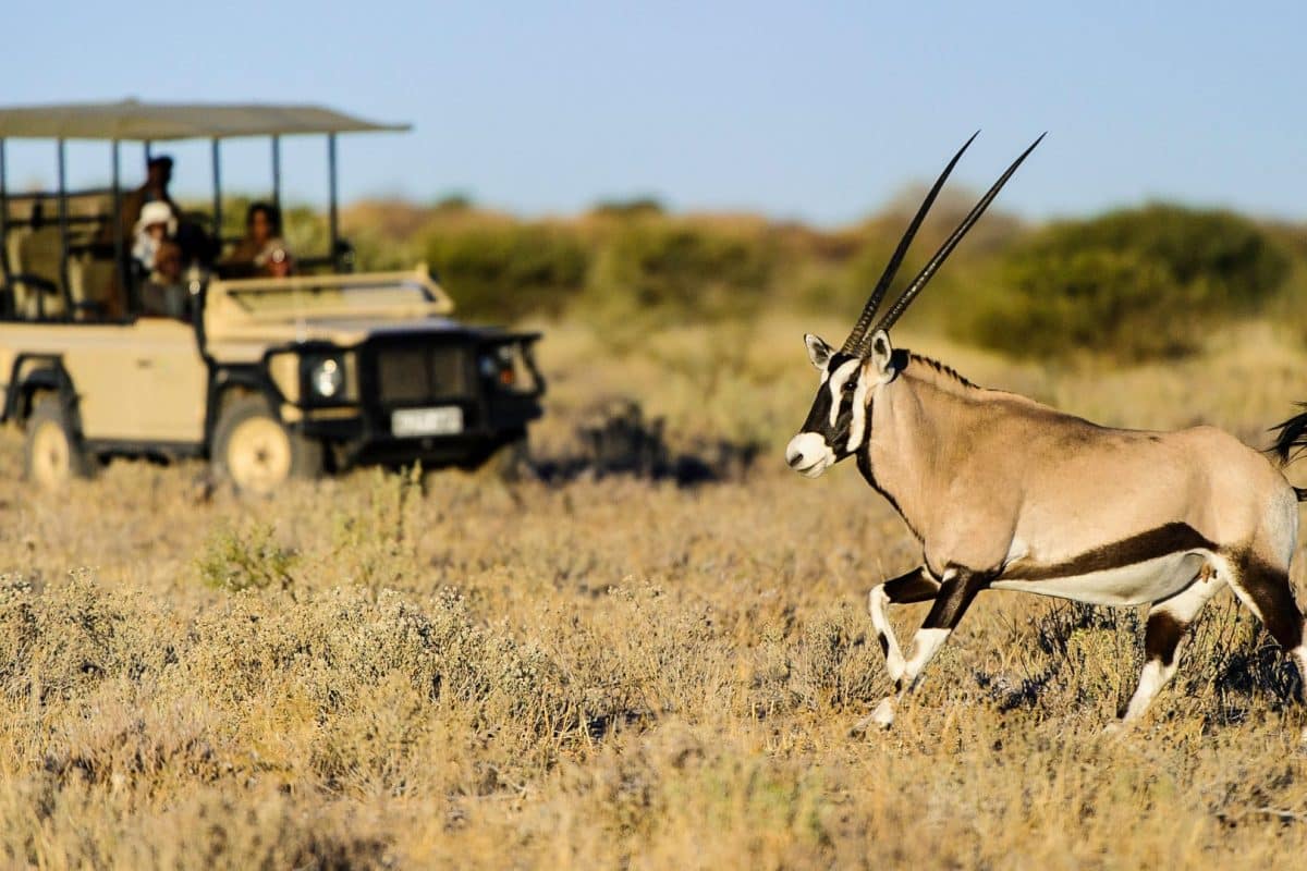 Botswana National Parks - Kalahari - Cheetah Safaris