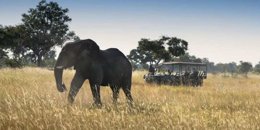 Botswana National Parks - Okavango - Cheetah Safaris