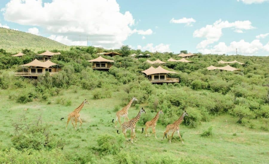 Mara Bushtops Camp