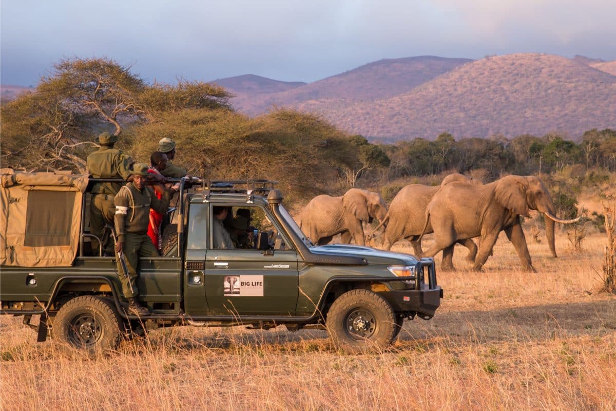 Conservation Safaris in Africa - Cheetah Safaris