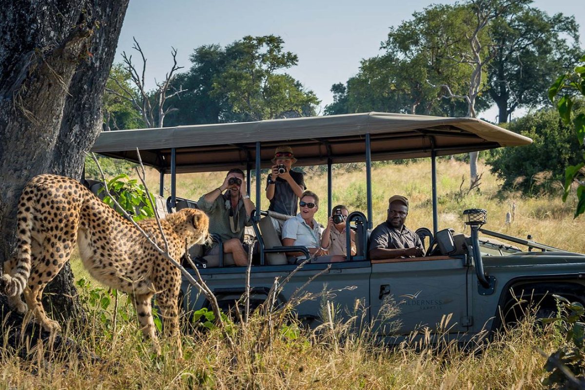 Family Safaris in Africa - Cheetah Safaris