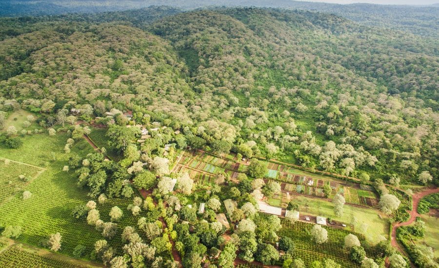 Gibb's Farm Ngorongoro