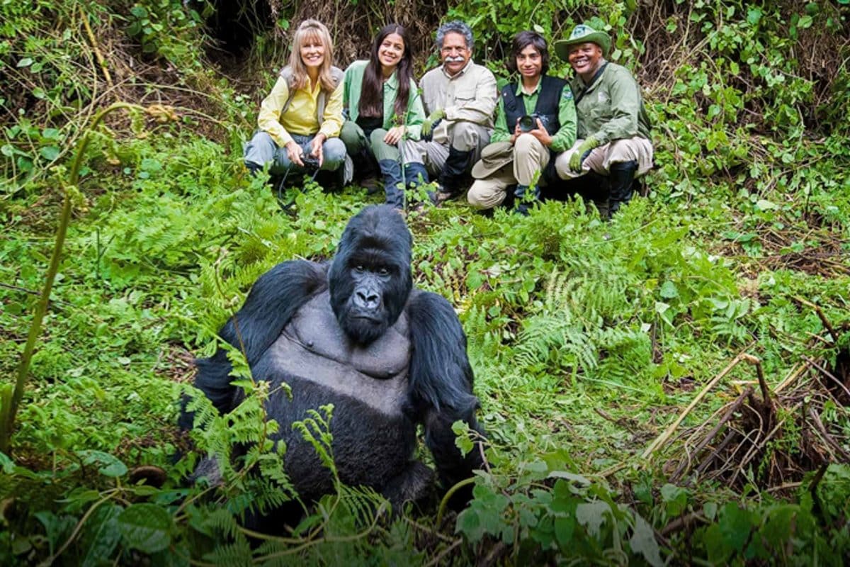 Gorilla Trekking Safaris in Uganda and Rwanda