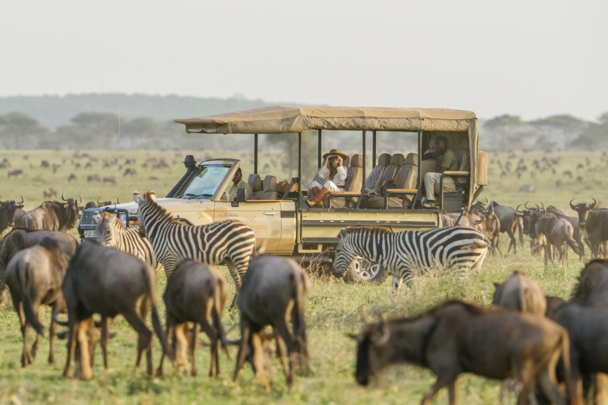 Great Wildebeest Migration Safaris - Tanzana Safaris - Serengeti Safaris - Cheetah Safaris