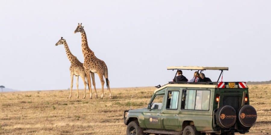 Kenya Safaris - Luxury African Safaris - Cheetah Safaris