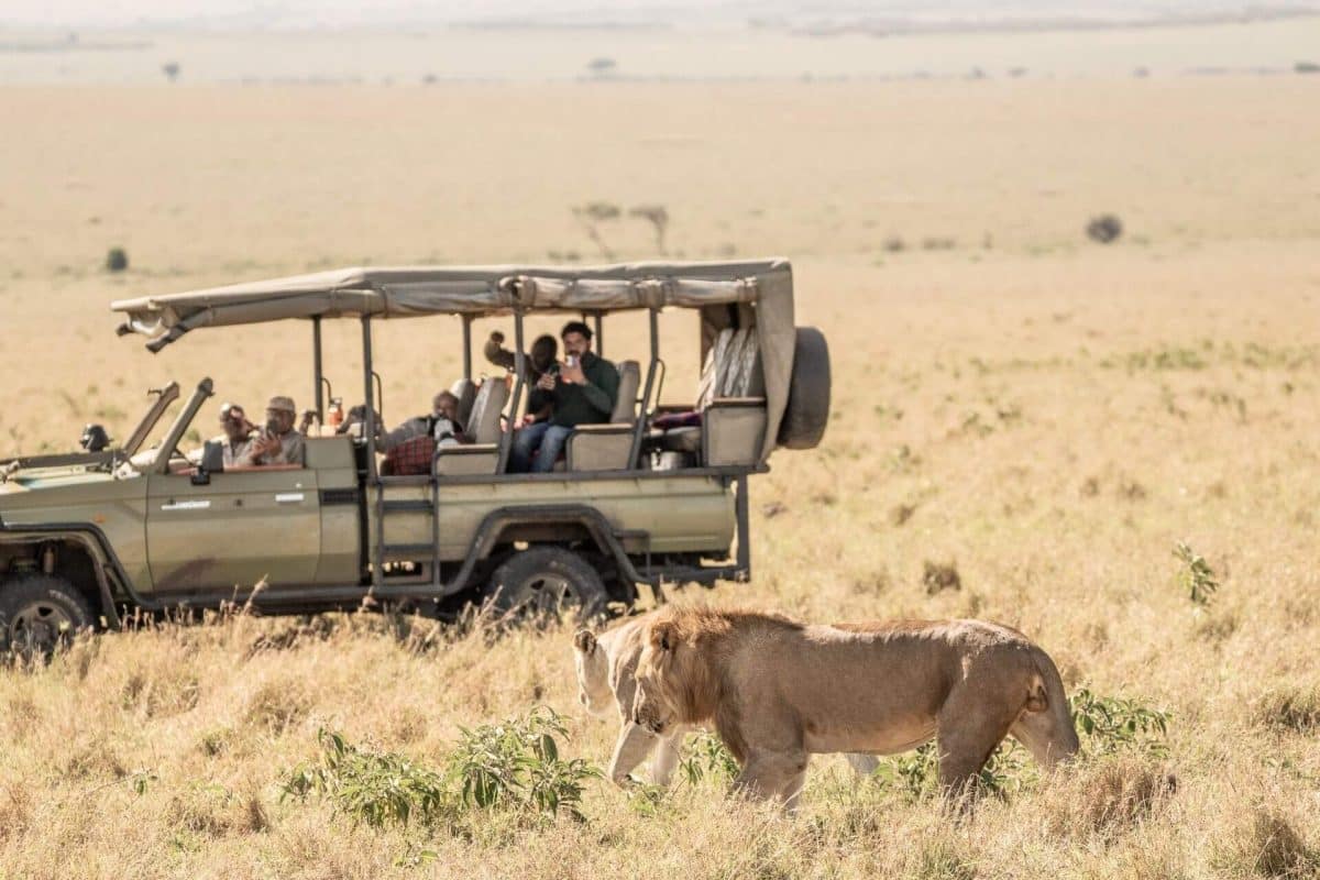 Kenya Safaris from Nairobi - Cheetah Safaris