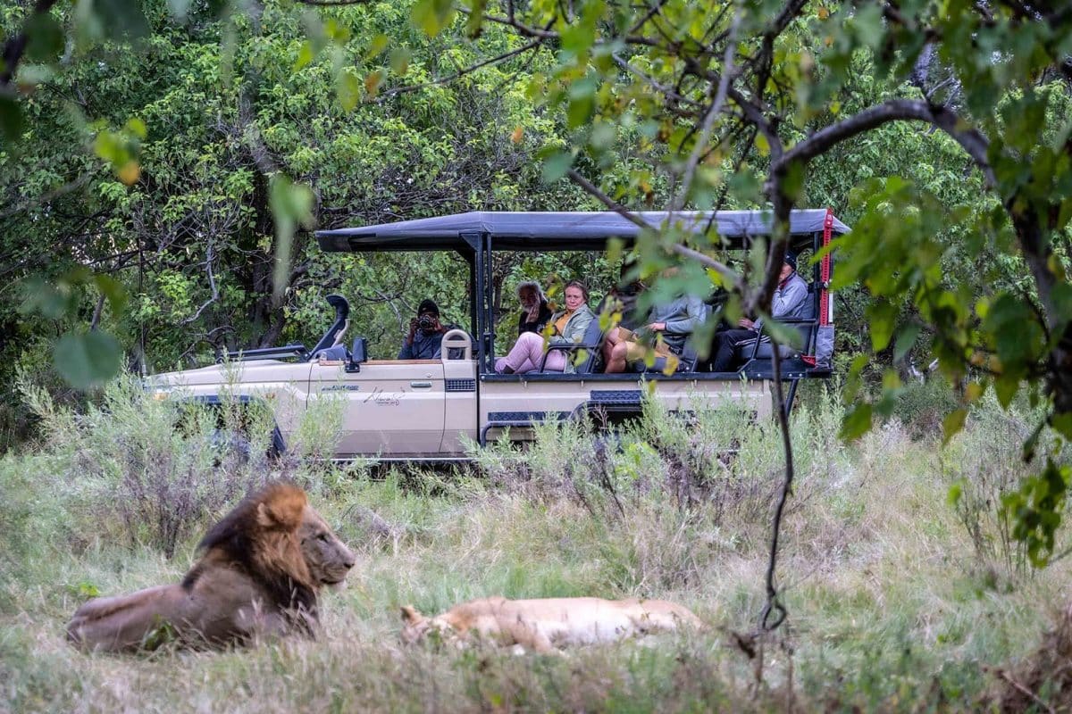 Luxury Botswana Safaris