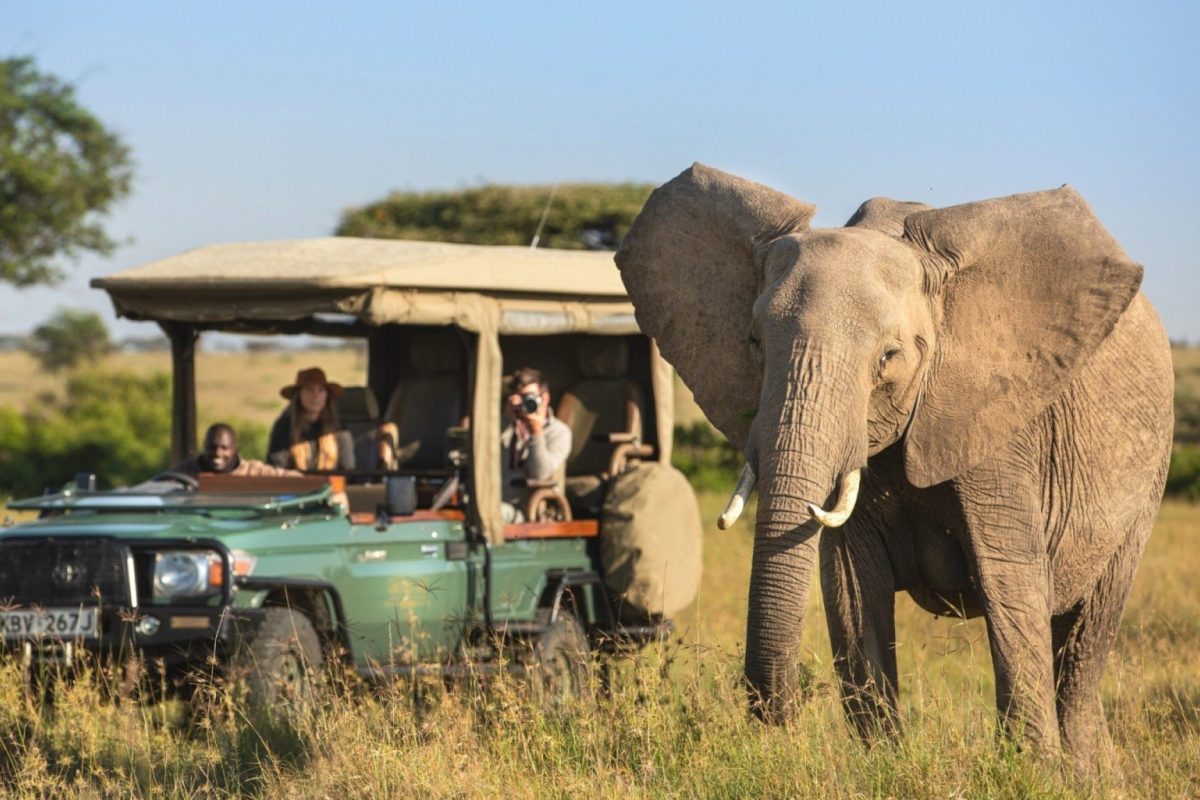 Luxury All Inclusive Safaris - African Safaris - Wildlife Elephant - Cheetah Safaris