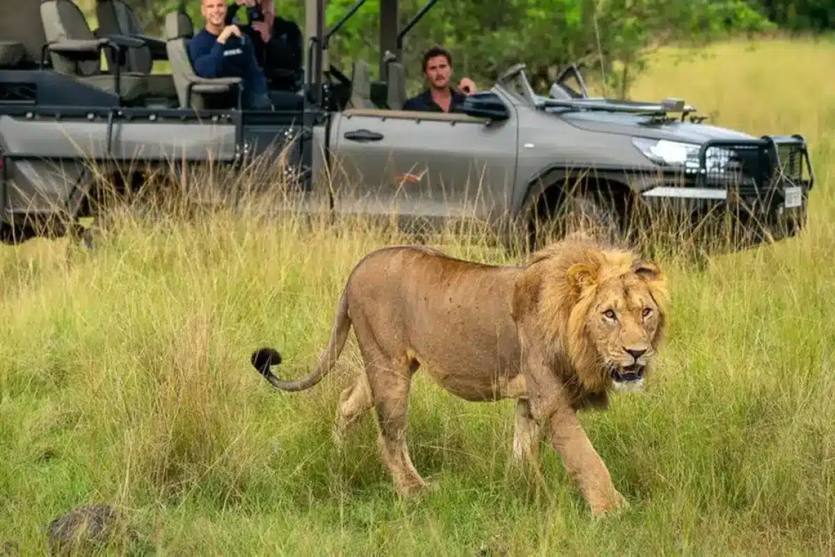 Luxury Rwanda Safaris - Big Five - Cheetah Safaris