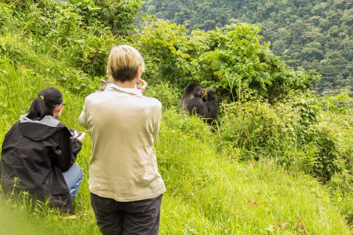 Luxury Rwanda Safaris - Gorilla Trekking - Cheetah Safaris 2