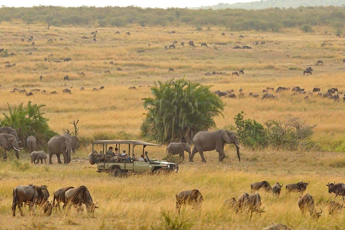 Luxury Serengeti Safaris - Game Drives - Luxury Tanzania Safaris - Cheetah Safaris 1