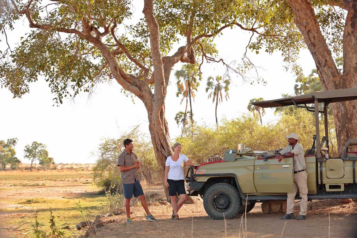Luxury Tanzania Safaris - Serengeti Safaris - Cheetah Safaris