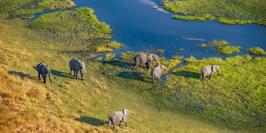 Luxury Botswana Safaris - Luxury African Safaris - Cheetah Safaris