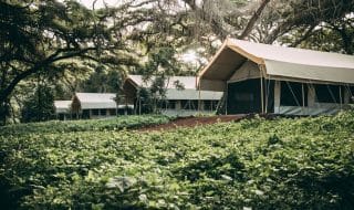 Camps &Amp; Lodges In Ngorongoro Crater - Tanzania Safaris 13 Ngorongoro Tortilis gardens qky8ohkjnctqdf4oi3wimcz59r5qlfsbdh9tf783n0