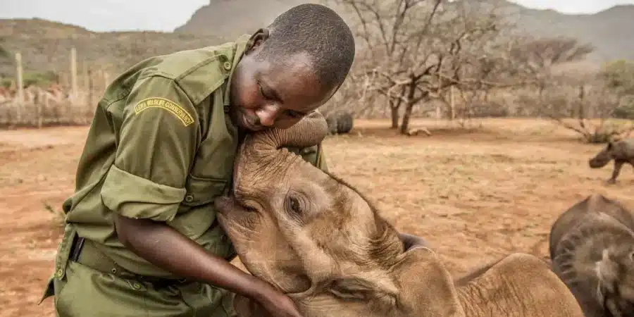 Namunyak Wildlife Conservancy