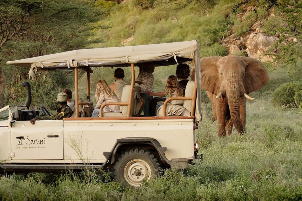 Samburu Safaris - Kenya Safaris - Game Drives - Cheetah Safaris