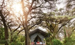 Camps &Amp; Lodges In Ngorongoro Crater - Tanzania Safaris 16 Sanctuary Crater Camp ngorongoro crater tanzania timbuktu travel