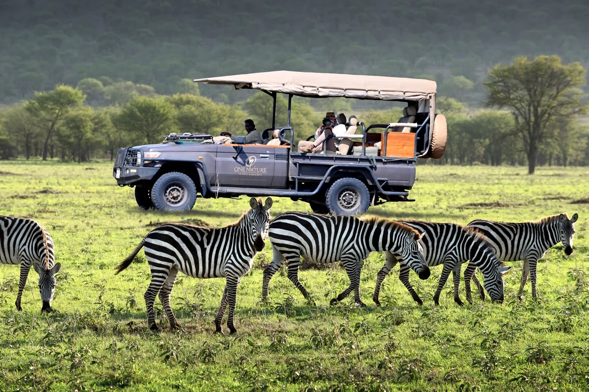 Serengeti Safaris - Game Drives - Luxury Tanzania Safaris - Cheetah Safaris