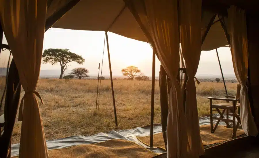Ndutu Under Canvas Safari Camp