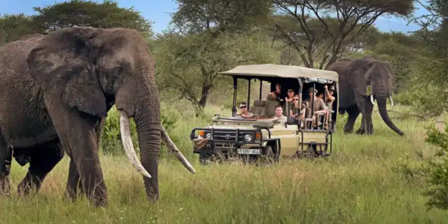 Tanzania Safaris - Luxury African Safaris - Cheetah Safaris